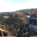 16_20-nest.jpg