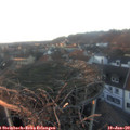 16_35-nest.jpg