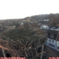 16_40-nest.jpg
