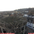 16_45-nest.jpg