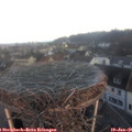 08_15-nest.jpg