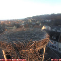 08_25-nest.jpg
