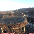 08_30-nest.jpg