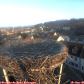 08_35-nest.jpg