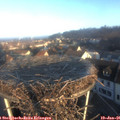 08_40-nest.jpg