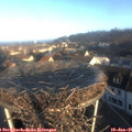 08_45-nest.jpg