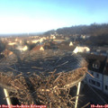 08_50-nest.jpg