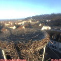 08_55-nest.jpg