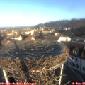 09_00-nest.jpg