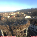 09_05-nest.jpg