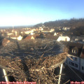 09_10-nest.jpg