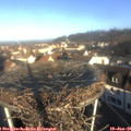 09_15-nest.jpg