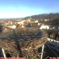 09_20-nest.jpg