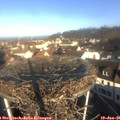 09_25-nest.jpg