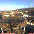 09_30-nest.jpg