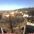 09_40-nest.jpg