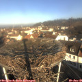 09_45-nest.jpg