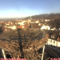 09_50-nest.jpg