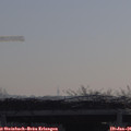 09_55-mast.jpg