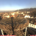 09_55-nest.jpg