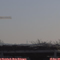 10_10-mast.jpg