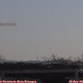 10_15-mast.jpg