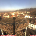 10_15-nest.jpg