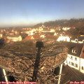 10_40-nest.jpg