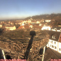 11_00-nest.jpg