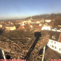 11_25-nest.jpg