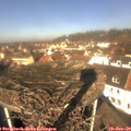11_40-nest.jpg