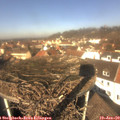 11_55-nest.jpg