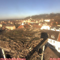 12_00-nest.jpg
