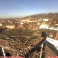 12_10-nest.jpg