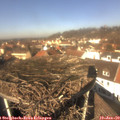 12_15-nest.jpg
