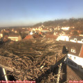 12_20-nest.jpg
