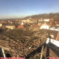 12_30-nest.jpg