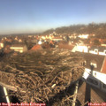 12_35-nest.jpg