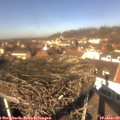 12_40-nest.jpg