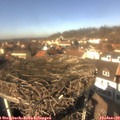 13_00-nest.jpg