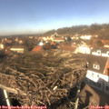 13_05-nest.jpg