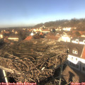 13_10-nest.jpg