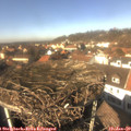 13_25-nest.jpg