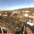 13_30-nest.jpg