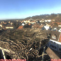14_20-nest.jpg