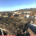 14_25-nest.jpg