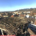 14_30-nest.jpg