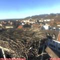 14_35-nest.jpg