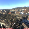 14_45-nest.jpg