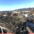 14_55-nest.jpg